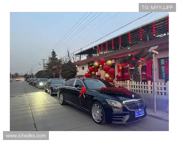 凯时贵宾会：尊贵会员专享的奢华娱乐盛宴