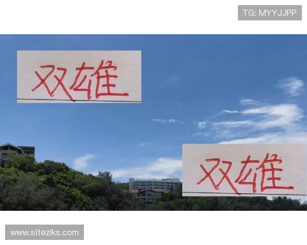 尊龙app官网登录最新动态，第一时间掌握平台最新优惠和活动资讯