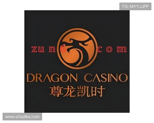 尊龙凯时网页版操作简便，专业客服全天在线支持，保障您的每一次游戏体验顺畅无忧